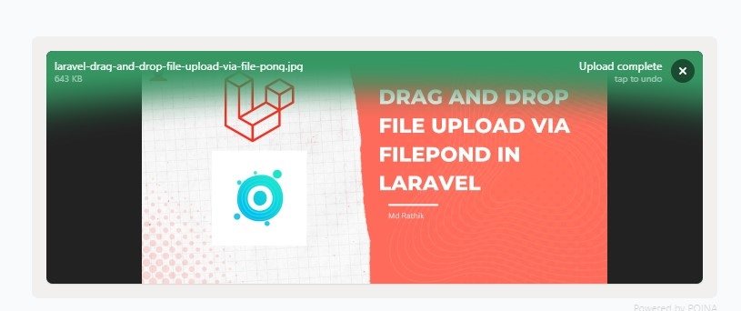 Drag and Drop File Upload via FilePond in Laravel